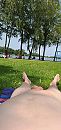 Wijthemerplas, foto 765x1600, 2 reacties, 13 stemmen