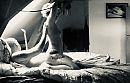 Xxx, foto 1723x1111, 10 reacties, 60 stemmen