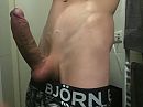 Your fav bull, foto 1600x1200, 9 reacties, 44 stemmen