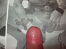 Zaad op Anneke, foto 3296x2472, 2 reacties, 3 stemmen