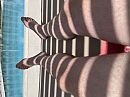 Zebra, foto 320x240, 1 reacties, 5 stemmen