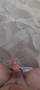 Ziezo, foto 736x1632, 2 reacties, 13 stemmen
