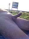 Zilverstrand, foto 480x640, 5 reacties, 37 stemmen