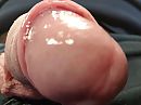 Zin in?, foto 2944x2208, 3 reacties, 4 stemmen