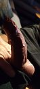 Zin in!!, foto 1845x4000, 3 reacties, 15 stemmen