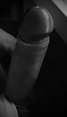 Zin!, foto 668x1147, 1 reacties, 1 stemmen