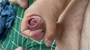 Zo ff lekker dat zaad er uit, film 00:00:19, 14 reacties, 51 stemmen