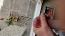 Zo geil op werk.., film 00:00:19, 19 reacties, 56 stemmen