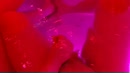 Zo geil, film 00:00:15, 7 reacties, 47 stemmen