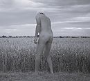 Zomer2022, foto 1948x1772, 1 reacties, 6 stemmen