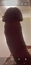 Zondag, foto 1080x2220, 1 reacties, 0 stemmen