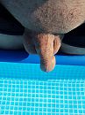 Zwemmen, foto 3000x4000, 0 reacties, 3 stemmen
