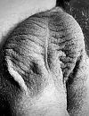 ., foto 2678x3446, 0 reacties, 4 stemmen