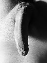 ., foto 3000x4000, 0 reacties, 4 stemmen