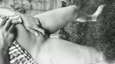 , film 00:00:26, 17 reacties, 61 stemmen