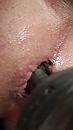 ., foto 2250x4000, 4 reacties, 12 stemmen