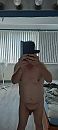 ......, foto 1800x4000, 2 reacties, 5 stemmen