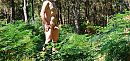 ., foto 1000x475, 3 reacties, 18 stemmen