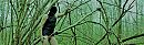 ., foto 2930x938, 1 reacties, 5 stemmen