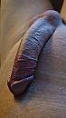 ., foto 1699x2994, 8 reacties, 21 stemmen