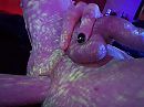 ...., foto 2640x1980, 3 reacties, 18 stemmen