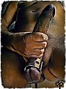 artist impression, foto 900x1200, 3 reacties, 10 stemmen