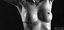 artistieke borsten., foto 4000x1899, 6 reacties, 24 stemmen