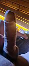 avondje sauna...., foto 1801x4000, 0 reacties, 2 stemmen