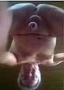 bekennender FKK Fan, foto 436x604, 1 reacties, 3 stemmen