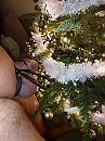 bijna kerst, foto 3000x4000, 1 reacties, 2 stemmen
