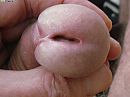 blijft mooi om te zien, foto 2048x1536, 13 reacties, 21 stemmen