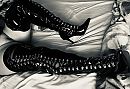 boots, foto 3572x2451, 33 reacties, 105 stemmen