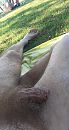 buiten zijn, foto 483x897, 14 reacties, 23 stemmen