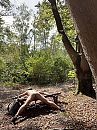 buiten, foto 2316x3088, 4 reacties, 17 stemmen