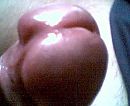 close up, foto 352x288, 1 reacties, 6 stemmen