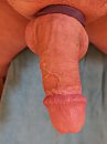 cockring, foto 3000x4000, 27 reacties, 69 stemmen