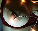 coco christmas breast, foto 3060x2459, 4 reacties, 25 stemmen