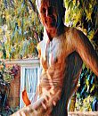 crea geil, foto 477x562, 2 reacties, 9 stemmen