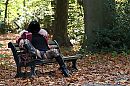 dce 2250, foto 3033x2018, 42 reacties, 134 stemmen