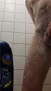 douche, foto 972x1728, 1 reacties, 2 stemmen