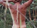 e00, foto 1408x1080, 2 reacties, 14 stemmen