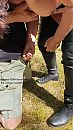 eens controleren wat daar zit., foto 2250x4000, 5 reacties, 96 stemmen