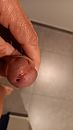 eikel 2, foto 2250x4000, 6 reacties, 18 stemmen