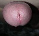 eikel, foto 4000x3716, 0 reacties, 1 stemmen
