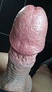 eikel close up, foto 1836x3264, 2 reacties, 5 stemmen
