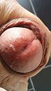 eikel close up, foto 1836x3264, 0 reacties, 0 stemmen