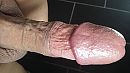 eikel keihard, foto 3264x1836, 0 reacties, 5 stemmen