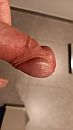 eikel, foto 2250x4000, 17 reacties, 33 stemmen
