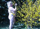 eindelijk mooi weer, foto 2272x1704, 2 reacties, 43 stemmen