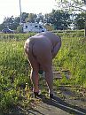 even flashen bij snelweg, foto 2448x3264, 1 reacties, 22 stemmen